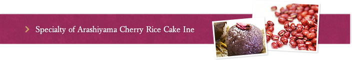 Specialty of Arashiyama Cherry Rice Cake Ine